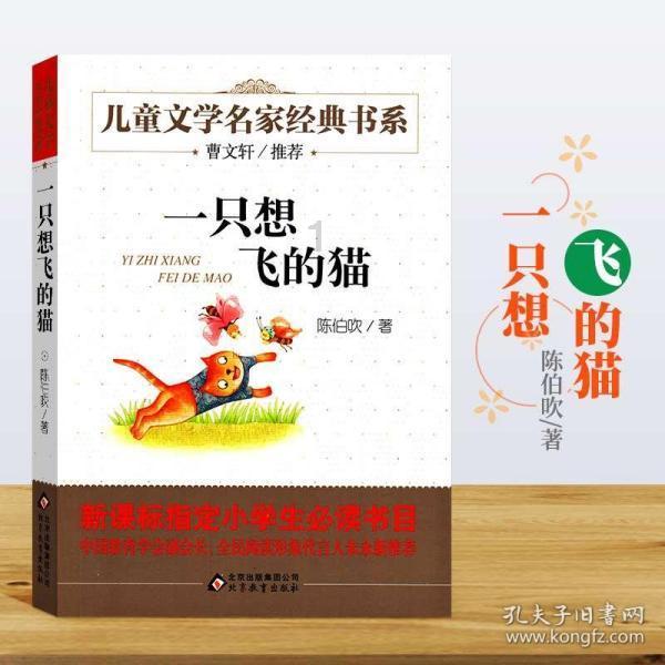 男人想肾好,白水加一“宝”,坚持一周,或许肾脏会“感激”你!